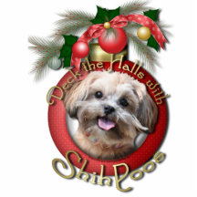 Weihnachten - Plattform die Hallen - ShihPoos - Ma Ausschnitt