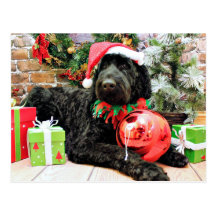 Weihnachten - Schnoodle - Zeus Postkarten