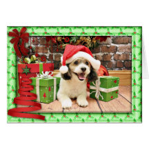 Weihnachten - Shih Poo - maximal Karte