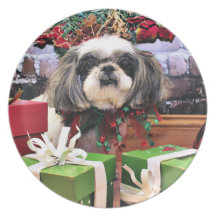 Weihnachten - ShihPoo - Annabelle Flacher Teller