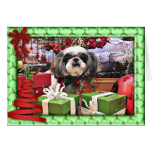 Weihnachten - ShihPoo - Annabelle Karten
