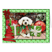 Weihnachten - ShihPoo - Brooklyn Karte