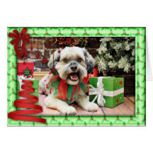 Weihnachten - ShihPoo - Ding Grußkarten