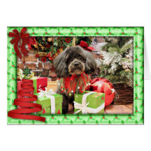 Weihnachten - ShihPoo - Jack Grußkarten