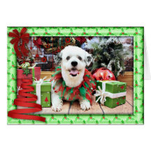 Weihnachten - ShihPoo - Lucy Karte