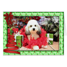 Weihnachten - ShihPoo - Sophie Karten