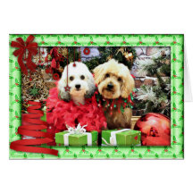 Weihnachten - ShihPoo - Sophie und Twix Grußkarten