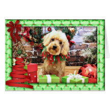 Weihnachten - ShihPoo - Twix Karten