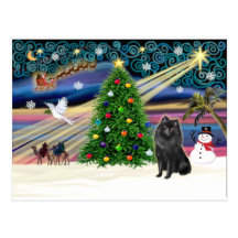 Weihnachtsc$magie-schipperke Postkarte