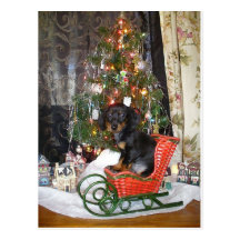 WeihnachtsDackel-Art Postkarten