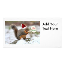 Weihnachtseichhörnchen im Schnee Foto Grußkarte