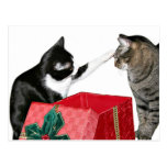 Weihnachtseifersucht Postkarten