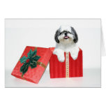 Weihnachtsgeschenk Shih Tzu Karte