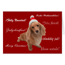 Weihnachtskarte "Dackel" Weihnachten