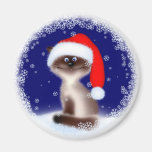 Weihnachtskatze in der Weihnachtsmannmütze Magnete