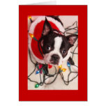 Weihnachtslicht-Sankt-Gruß-Auto Bostons Terrier Grußkarte