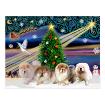 Weihnachtsmagische Chow-Chowe (vier) Postkarte