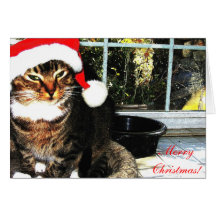 Weihnachtsmannmützekatze II Karte