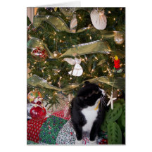 WeihnachtsMiezekatze Karte