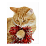 WeihnachtsMiezekatzespielen Postkarten
