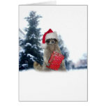 Weihnachtssankt-Waschbär-Bandit Grußkarten