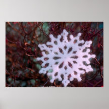 Weihnachtsschneeflocke im Rot und im Grün Plakat