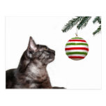 Weihnachtsversuchung Postkarte
