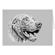 Weimaraner Hund Grußkarte