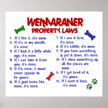 WEIMARANER PL2 PLAKATDRUCK