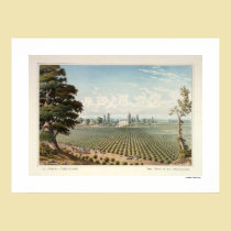 Weinberg EL Pinal, San Joaquin County Plakat poster