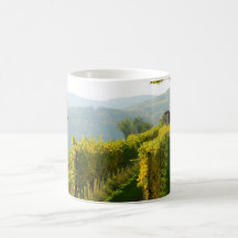 Weinberg nahe Krems Teetasse