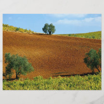 Weinberge nähern sich Montilla, Andalusien, Spanie Bedruckte Flyer