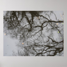 Weinende Baum-Foto-Plakat-Kunst