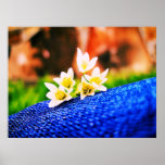 Weiße Blumen auf Denim-Druck Posterdrucke