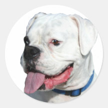Weiße Boxeraufkleber