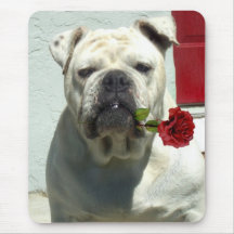 Weiße Bulldogge mit Rose mousepad