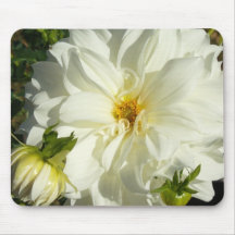Weiße Dahlie Mousepad