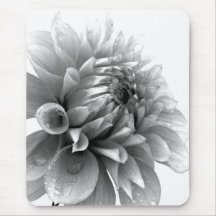 Weiße Dahlie-Nahaufnahme Mousepads