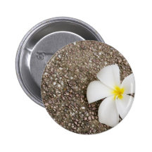 Weiße Frangipani-Blume auf Felsenoberfläche Button