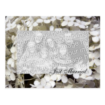 Weiße Hydrangea-gerade verheiratete Foto-Postkarte