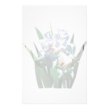 Weiße Iris Büropapier