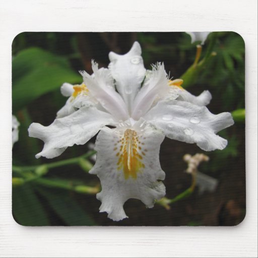 Weiße Iris Mousepads