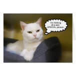 Weiße Katzen-Geburtstags-Spaß-Karte