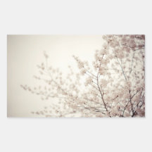 Weiße Kirschblüten - Central Park-Frühling Aufkleber