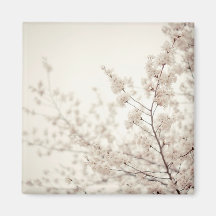 Weiße Kirschblüten - Central Park-Frühling Magnets