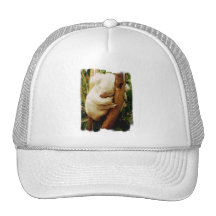 Weiße Koala-Bärn-Baseball-Mütze