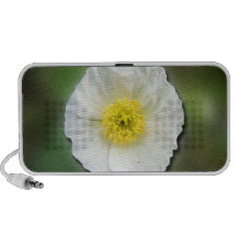 Weiße Mohnblumen-Unschärfe; Kein Text Notebook Speaker