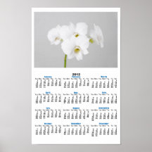 Weiße Orchidee (2) Poster