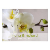 Weiße Orchidee • Hochzeits-Einladung