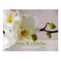 Weiße Orchidee • Hochzeits-Einladungs-Postkarte